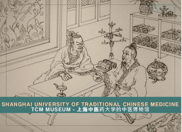 infos about shanghai university of traditional chinese medicine
