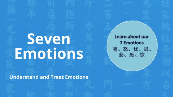 seven emotions