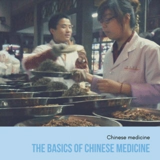 online-course-beginners-guide-of-chinese-medicine