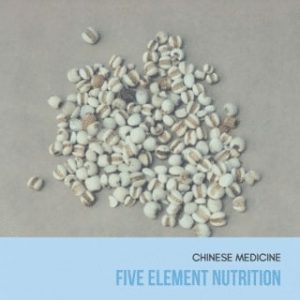 online-course-five-element-nutrition-by-wushantcm