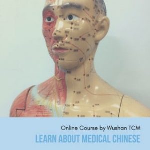 online-course-medical-chinese