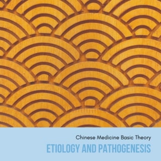 lecture-about-etiology-and-pathogenesis-in-chinese-medicine