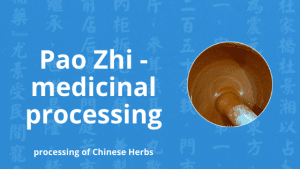 pao zhi medicinal processing