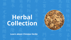chinese herbal gallery