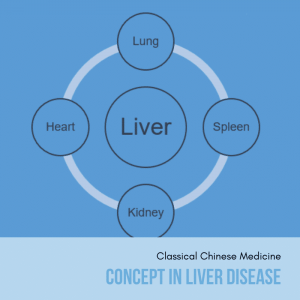 chinese medicine concept in liver disease