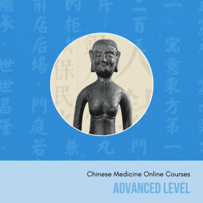 advanced chinese medicine online courses