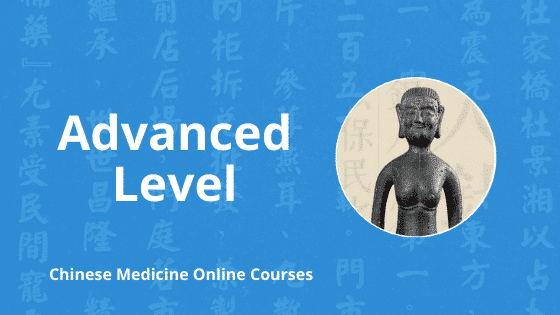 advanced level chinese medicine online courses