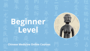 beginner level chinese medicine online courses