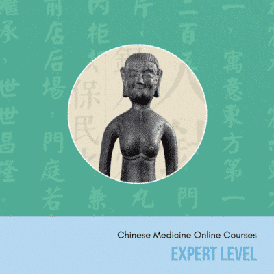 expert chinese medicine online courses