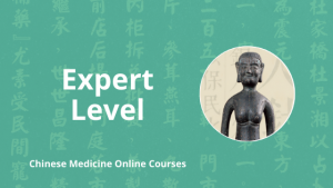 expert level chinese medicine online courses