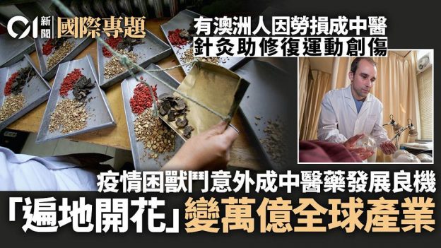 HK01 Foreigners learning Chinese Medicine