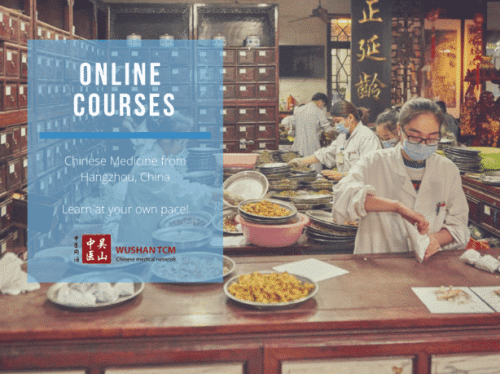 chinese medicine online courses